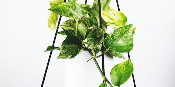 各国家队公布最终23人大名单后媒体热烈报道的现场照片